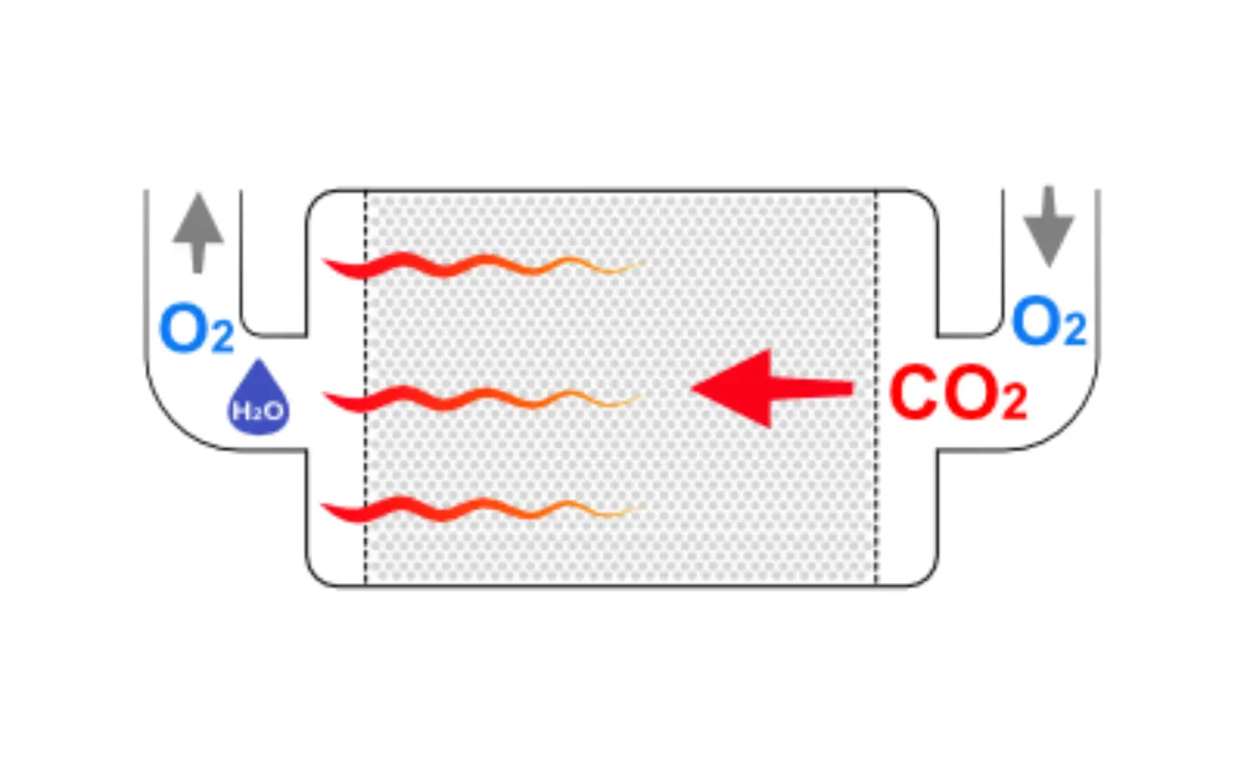 Carbon dioxide scrubber used to remove CO₂ from exhaled gas.