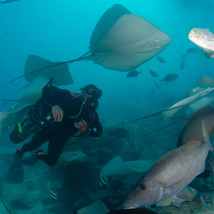 Shaff Naeem / Divesoft Hero