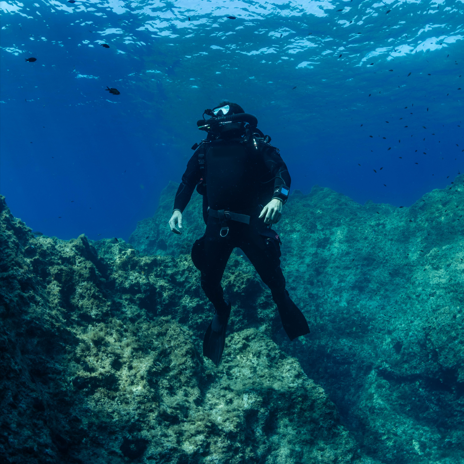 An underwater photographer using a rebreather while observing marine life.