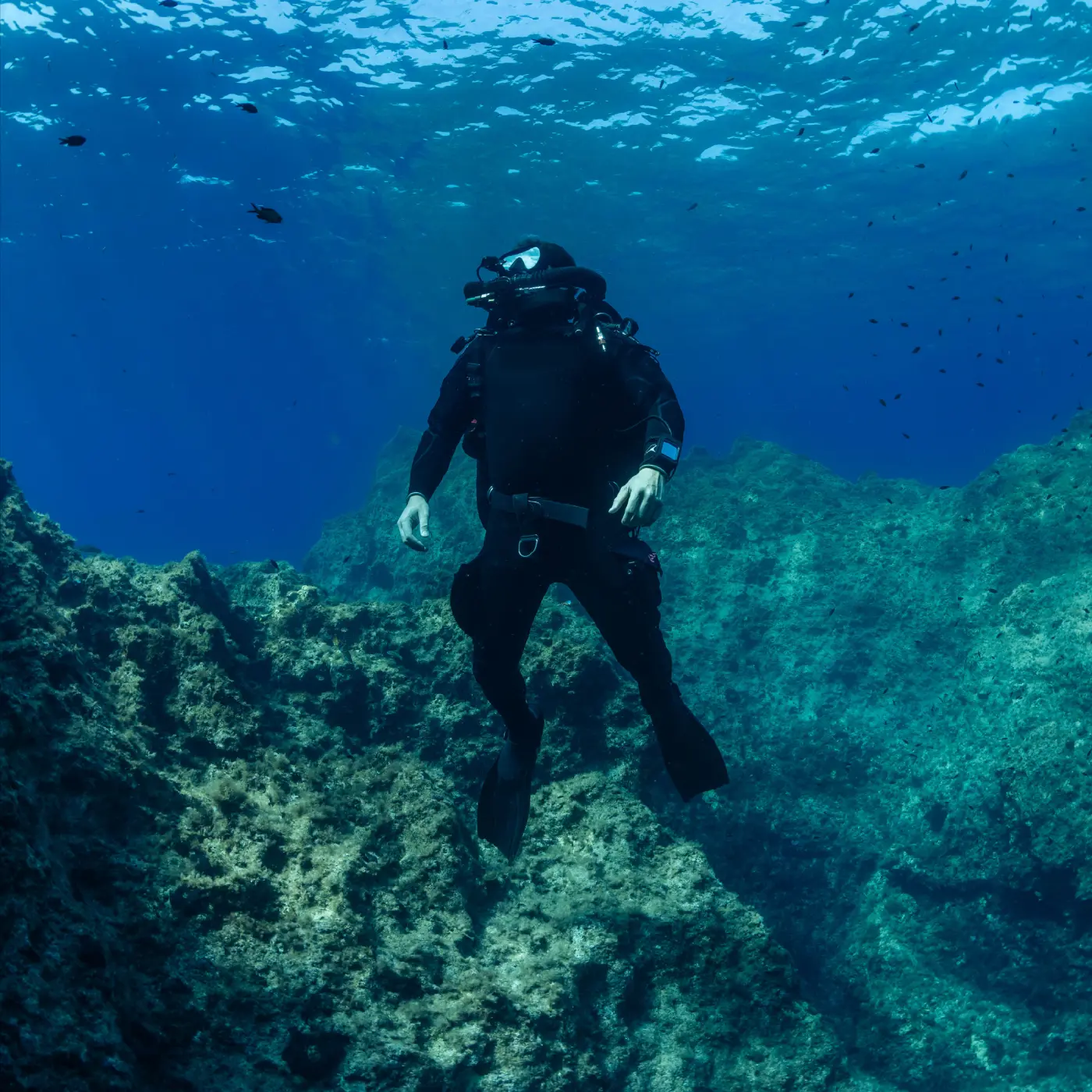 An underwater photographer using a rebreather while observing marine life.