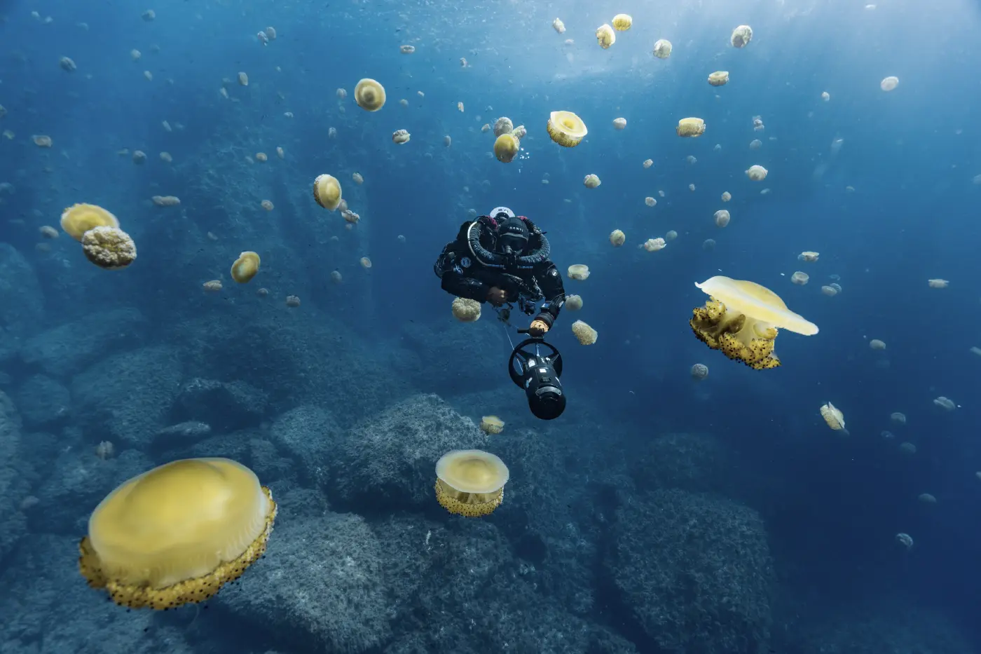 A recreational diver using a rebreather on a reef dive.