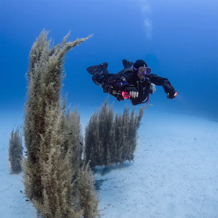photo of Nadine Al-Manqour, Liberty Instructor