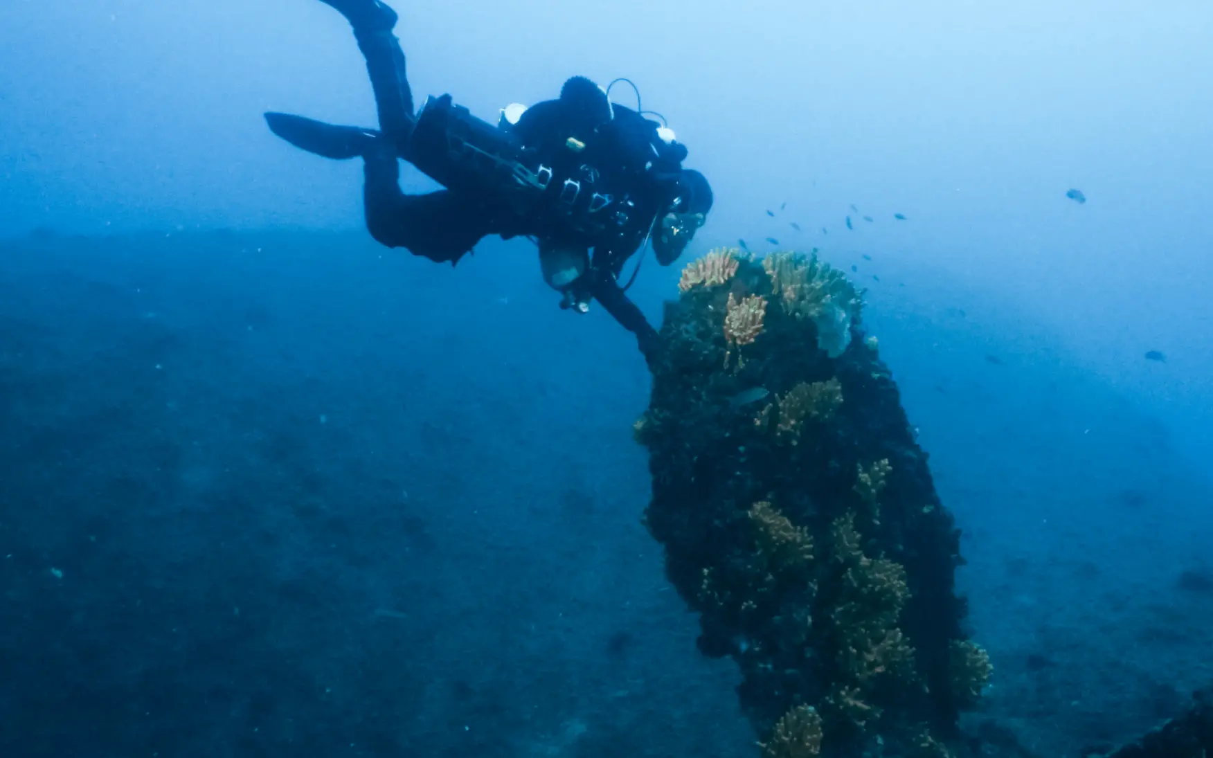 Reduced bubbles can create a quieter underwater presence.