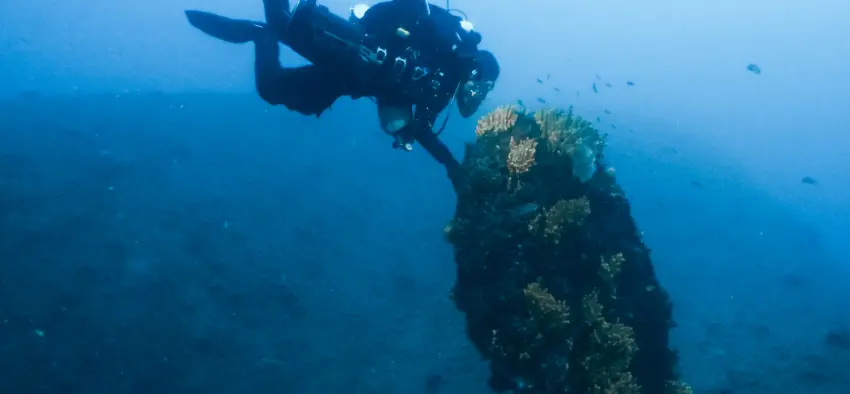 Reduced bubbles can create a quieter underwater presence.